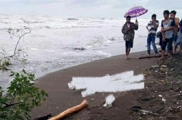 Mayat di Pantai Galut, Seorang Bocah Perempuan, Kepalanya Hancur