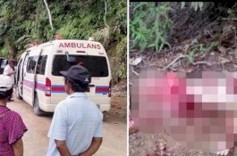 Usai Parangi Instruktur Senam Australia, Pria Malaysia Lari Masuk Hutan