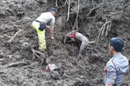 Empat Anjing K9, Didatangkan dari Jakarta untuk Cari Korban Longsor di Gowa