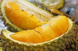 Fantastik, Harga Durian Ini Capai Rp 14 Juta per Buah