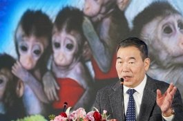 Ilmuwan China yang Ciptakan Monyet Kloning Dikecam