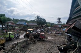 Bau Menyengat Bangkai Hewan Pasca Banjir, Pemkab Jeneponto Turunkan Tim Dokter