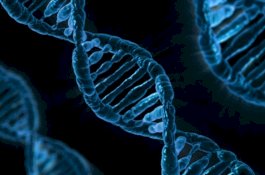 Jenis Kerja Ini Bisa Buat DNA Rusak Hingga Datangkan Penyakit Kronis