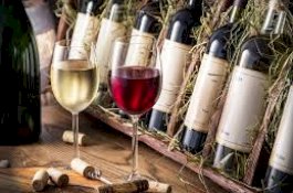 Gudang Anggur Kuno Ditemukan di Mesir