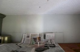 Awalnya Cium Bau Aneh, Wanita Ini Temukan Darah Menetes dari Plafon Apartemennya