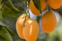 Ini Dua Kunci untuk Meraih Keberkahan