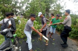 Bhabinkamtibmas Layoa Bantaeng dan Warga Singkirkan Pohon Tumbang