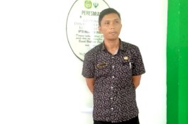 Sepanjang Januari, 12 Orang di Palopo Terjangkit DBD