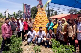 Desa Pombakka Diharap Jadi Sentra Jagung di Luwu Utara