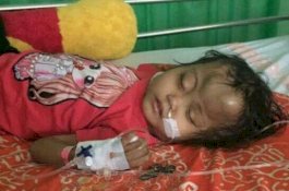 Bocah 4 Tahun di Sidrap Kena Tumor Ganas, Butuh Uluran Tangan Dermawan