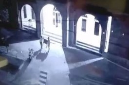 Dua Pemuda di Palopo Curi Kotak Amal Masjid, Ternyata Isinya Kosong