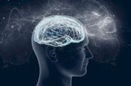 Begini Cara Meningkatkan Daya Ingat dan Kecerdasan Otak