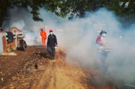 Kasus DBD Meningkat, Pemkab Jeneponto Fogging di Wilayah Banjir