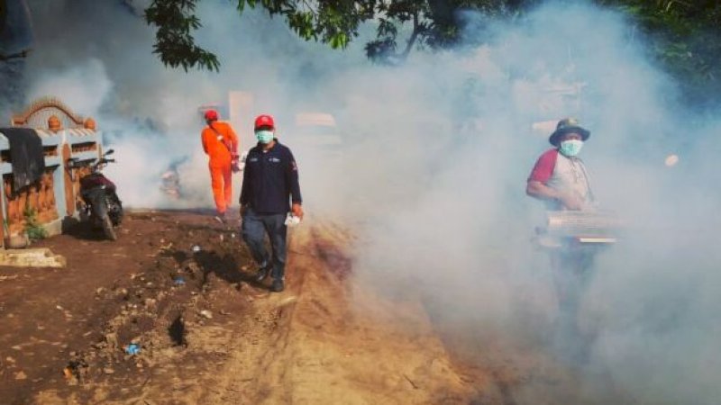 Fogging Cuma Atasi DBD Sementara