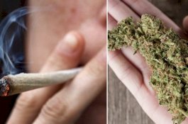 Penelitian: Pria yang Merokok Ganja Memiliki Tingkat Kesuburan Lebih Tinggi