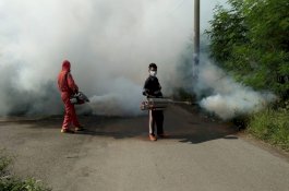 Cegah Penularan DBD, Dinas Kesehatan Pinrang Fogging Daerah Endemik