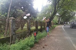 Kreatif, Pemuda Ini Ciptakan Burung yang Bisa Terbang