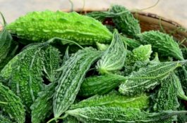 Meski Pahit, 5 Makanan Ini Berguna untuk Kesehatan