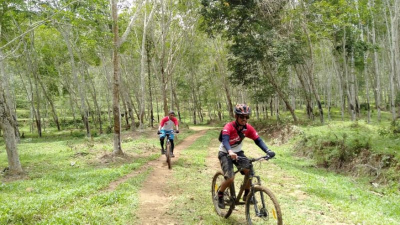 Eksplor Wisata Pohon, Komunitas Sepeda di Tanete Gelar Jelajah Pohon Karet