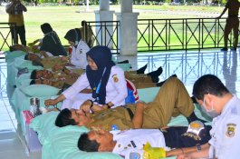 Pejabat Pemkab Sidrap Kompak Donor Darah