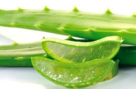 Cara Menghilangkan Bekas Cupang