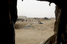 2 Warga Palestina Tewas Usai Mesir Semprotkan Gas Racun ke Terowongan