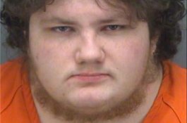 Pria Ini Berhubungan Seks Dengan Anjingnya, Sambil Berpakaian Husky