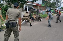 Pagi-pagi Satpol PP Bone Sibuk Kejar Kambing