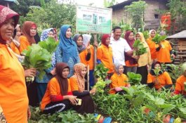 Ketua PKK Ajak Warga Bantaeng Manfaatkan Pekarangan untuk Sumber Gizi