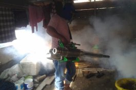 Kasus DBD di Bulukumba Sebanyak 127 Kasus