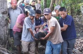 Maagnya Sudah Akut, Tukang Becak Gantung Diri di Pohon Mangga