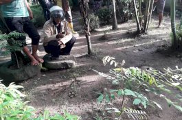 Diduga Kuburan Bayi, Warga Pinrang Dibuat Heboh