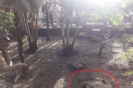 Warga Sudah Heboh, Diduga Kuburan Bayi, Ternyata di Dalamnya Kucing Mati