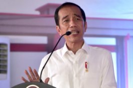 Jokowi: Tak Mungkin Ahok Gantikan Ma'ruf Amin