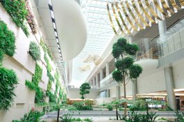 Menjajal Wisata di Bandara Changi Singapura