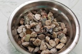 Ngeri! Dokter Keluarkan 2kg Batu, Tutup Botol, dan Koin dari Perut Pasien