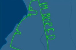 Di Jalur Penerbangannya, Pilot Tulis 