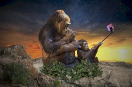 Cara Membaca Kepribadian Seseorang dari Gaya Selfie