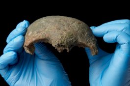 Tengkorak Manusia Berusia 5.600 Tahun Ditemukan di Sungai