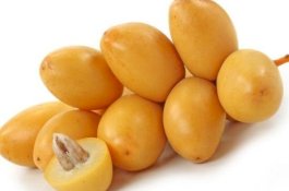 Khasiat Kurma Muda untuk Tingkatkan Kesuburan