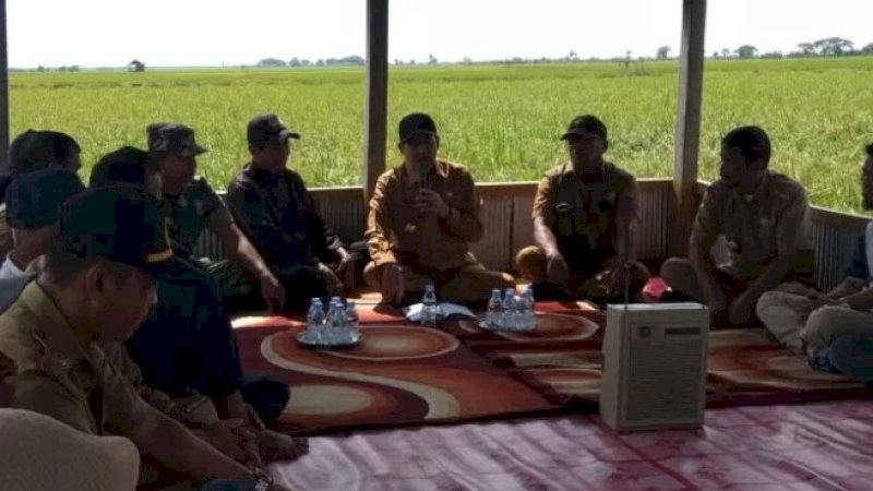 Kunjungi Tellulimpoe, Bupati Sidrap Minta Petani Cari Tambahan Penghasilan