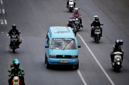 Pete-pete di Ambang Punah