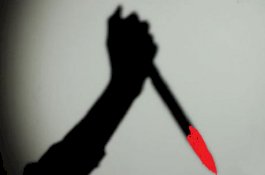 Janda Itu Tewas Dibantai di Tengah Kota