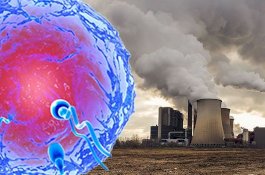 Polusi Bisa Ganggu Kesuburan Pria