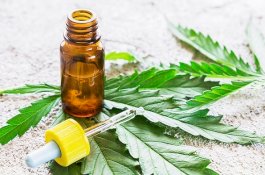 Ganja Medis Aman dan Efektif Untuk Orang Lanjut Usia