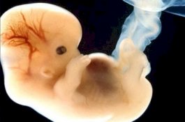 Penelitian: Pria yang Bentak Istrinya Saat Hamil, Terancam Merusak Pendengaran Calon Bayi