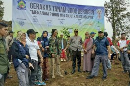 Warga Ujung Bulu Jeneponto Tanam 2.000 Pohon Beringin