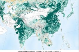 Bumi Lebih Hijau Dibanding 20 Tahun Lalu, Berkat China dan India