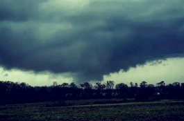 23 Orang Tewas Saat Angin Topan Terjang Amerika Serikat