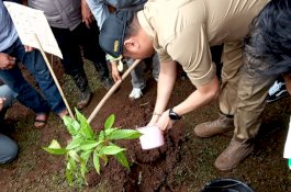 Reboisasi Lembanna, Adnan Imbau Pendaki Bawa Pulang Sampahnya